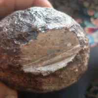 شهاب سنگ با شناسنامه|کلکسیون اشیاء عتیقه|سیرجان, |دیوار