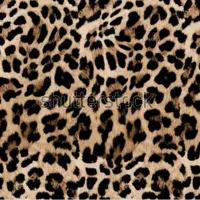 تولید و فروش تخصصی پارچه بوگاتی اماده|لباس|باقرشهر, |دیوار