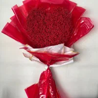 گل عروس زیبا قلبی