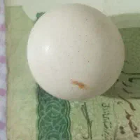 سنگ الماس آسیاب