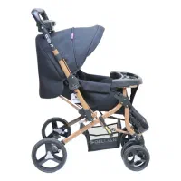 کالسکه دلیجان مدل بنیتا