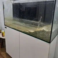 آکواریوم برند ایران آکواریوم|ماهی|تهران, باغ فیض|دیوار