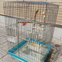 قفس پرنده