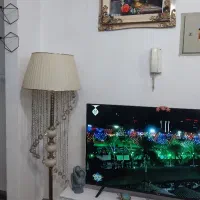 آباژور تمیز ونو