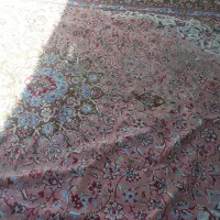 فرش|فرش|تاکستان, |دیوار