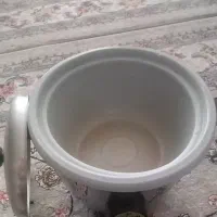 یک عدد پلوپز دوکاره ۱۸نفره و یک درختچه نخل|ظروف پخت‌وپز|خرم‌آباد, |دیوار