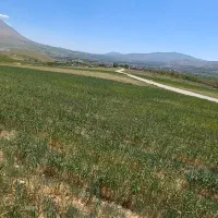 هزار-متر-زمین-باغی-لوله-آب-تا-سر-زمین-آستانه