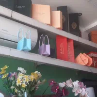 لوازم و دلور و رگال فروشی