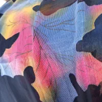 قواره کوردی|لباس|مهاباد (آذربایجان غربی), |دیوار