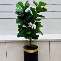 گیاهان مصنوعی و کربن وال سبز و رنگی|گل مصنوعی|صفادشت, |دیوار