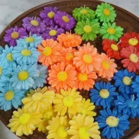 گیفت .شمع بابونه. دختر نازدونه .