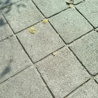 خانه در روستای گردش گری برایجان