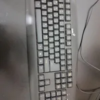 موس و کیبورد نو