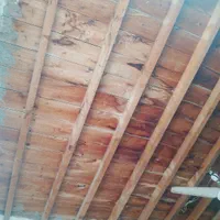 استاد بنا هستم