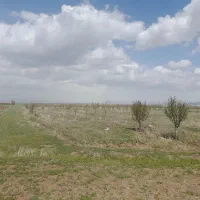 فروش-زمین-باغ-در-روستای-نوشهر