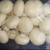 قارچ دکمه ای وتخم مرغ  محلی بسته بندی