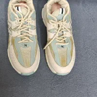 کفش|کیف، کفش، کمربند|همدان, |دیوار