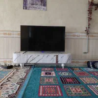 تلویزیون ۵۵ مار اولیو فقط باز شده برا عکس