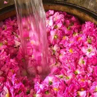 گلاب ناب کاشان|خوردنی و آشامیدنی|رشت, آب آسیاب|دیوار