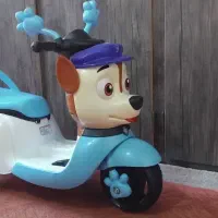 موتور شارژی.سگهای نگهبان