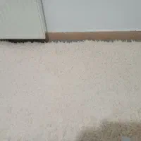 دوعددشگی درحدنو|فرش|کرمانشاه, |دیوار