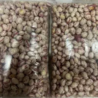 لوبیا چیتی درجه یک|عمدهفروشی|سجاس رود, |دیوار