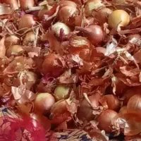 ۴تا کارگر وارد پیاز