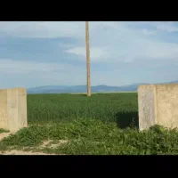 ۸۲۰۰متر زمین مجوز گاوداری بر جاده و سازه نیمه کار