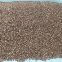 خرما قصب درجه یک|عمده‌فروشی|لار, |دیوار