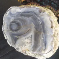 سنگ عقیق شجر دار|کلکسیون اشیاء عتیقه|سلامی, |دیوار