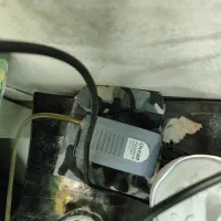 آکواریم و ماهی|ماهی|محمدیه-قزوین, |دیوار