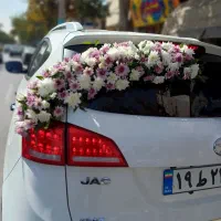 ماشین عروس|گل و گیاه طبیعی|مشهد, رده|دیوار