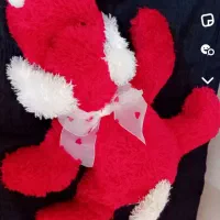 سگ قرمز با گوشهای سفید آویزون نو میباشد|اسباببازی|فردیس, قریشی|دیوار