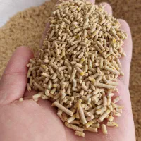 خوراک مخصوص بوقلمون