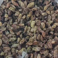 کشمش ارگانیک