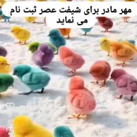 مهدکودک وپیش دبستانی مهر مادر|خدمات آموزشی|یاسوج, |دیوار