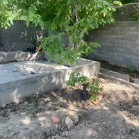 باغچه ۵۰۰ متری سند دار درخت گردو|فروش زمین و ملک کلنگی|تهران, شهرک شریعتی|دیوار
