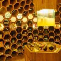 اجاره مغازه ۲۱ متری در دانش آموز