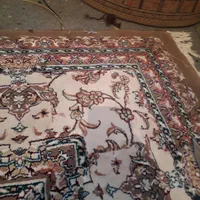 تعمیرات تخصصی فرش خانم مرادی لبه وریشه بادستگاه|خدمات پیشه و مهارت|کوهدشت, |دیوار