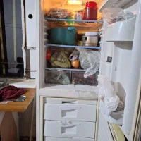 سالیم هست داره کار میکنه