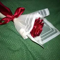 گل رمانی هدیه برا روز ولنتاین ومادر|گل مصنوعی|ورامین, ورامین|دیوار