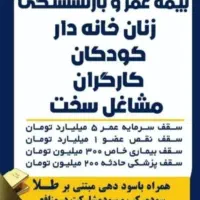 بیمه قسطی با۱۰درصدتخفیف روزمادر و۱۰درصدپیش پرداخت|خدمات مالی، حسابداری، بیمه|نورآباد ممسنی, |دیوار