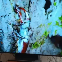 تلویزبون صفحه شکسته