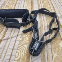 هیکلی علامت کشی(هیکلی برزنتی)