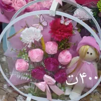 انواع باکس های نوزادی