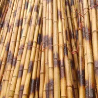 بامبو و عصا لوله‌‌. سند پلاست شده معمولی|صنایع دستی و سایر لوازم تزئینی|شلمان, |دیوار