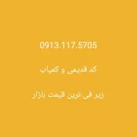 09131175705