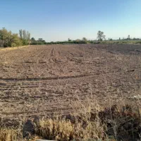 یه زمینِ همه چی تموم با شرایط اقساطی