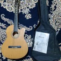 گیتار حرفه ای کلرادو باکاور ودفترنت