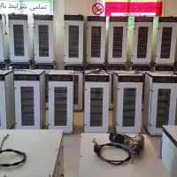 دستگاه جوجه کشی    «نو شــرکتـی)))HDAYT
